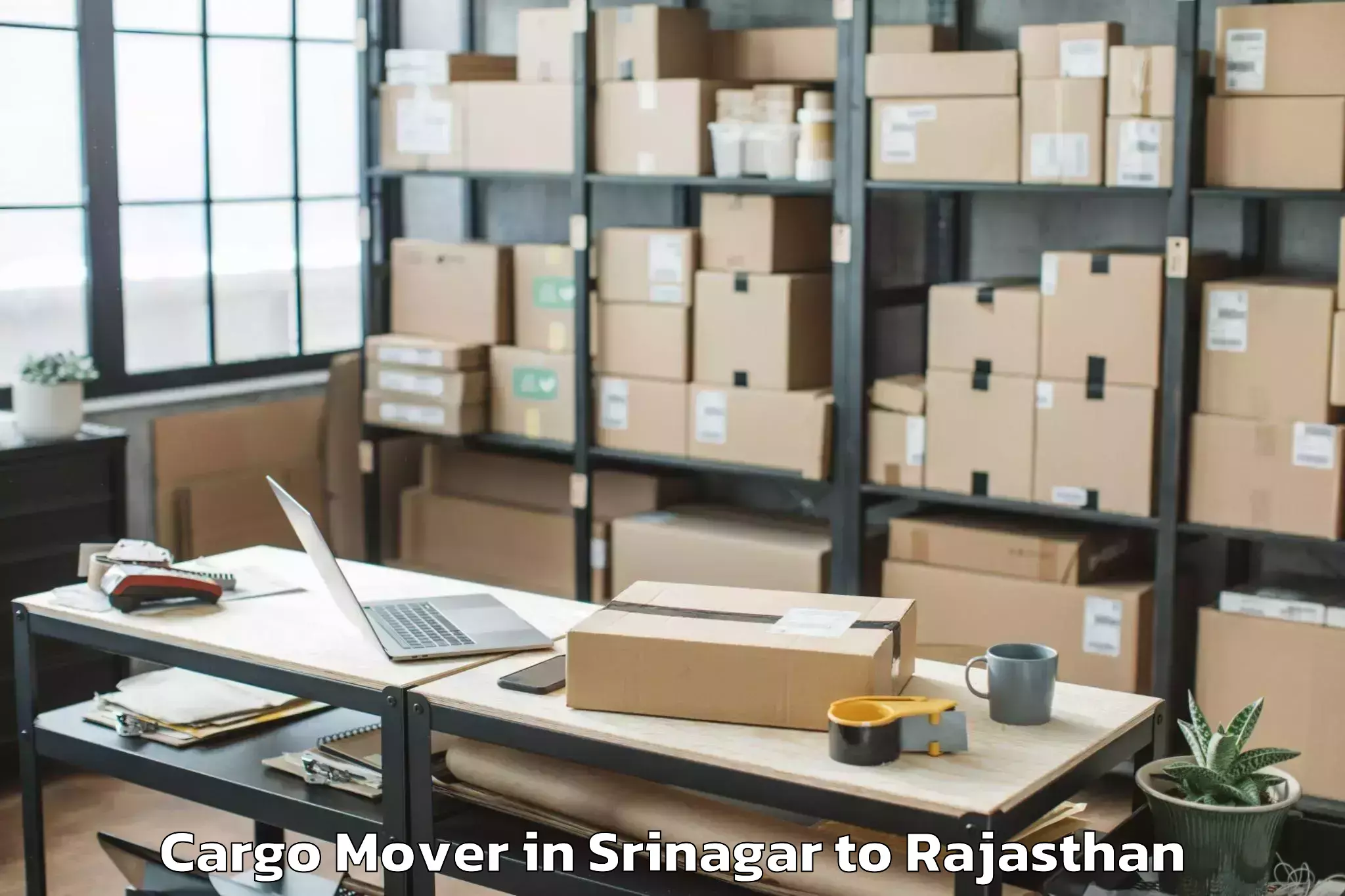 Book Srinagar to Kumbhalgarh Cargo Mover